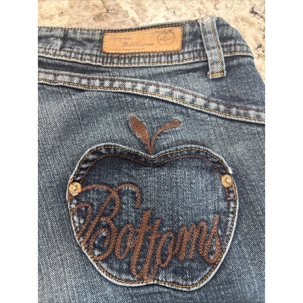 Y2K Vintage Apple Bottom Low Rise Jeans Size 9/10 Nelly "Boots With The Fur"